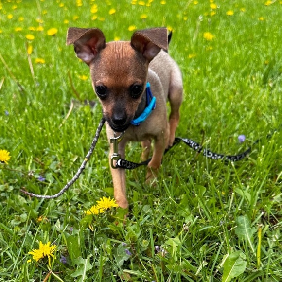 Meet Your Posher - Picture 5 of 16